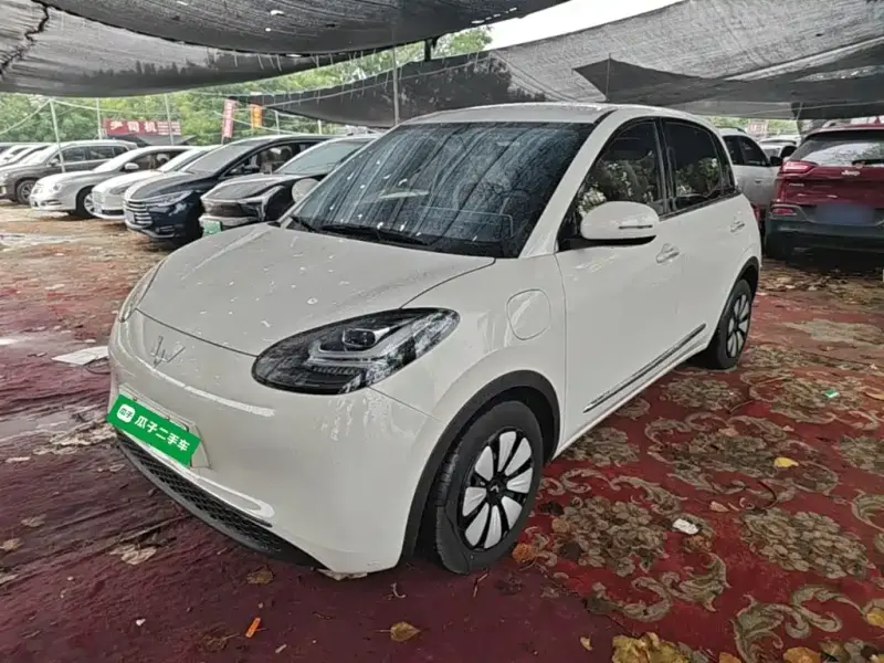 Wuling Bingo, 2024