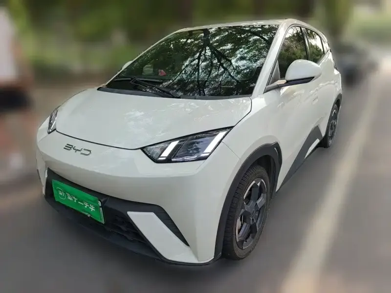 BYD Seagull, 2023