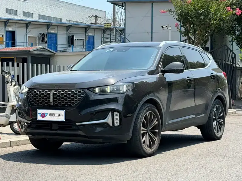 Wey VV6, 2020