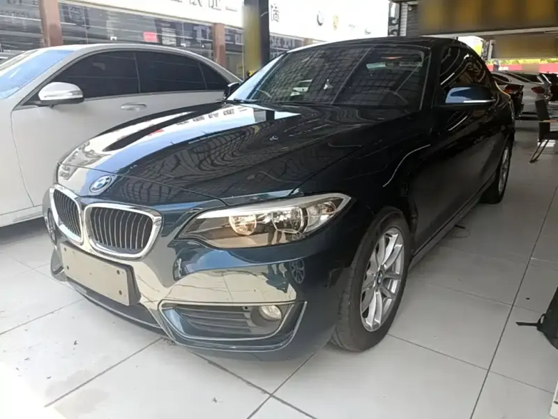 BMW 2 Series (Import), 2016