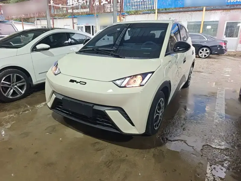 BYD Seagull, 2024