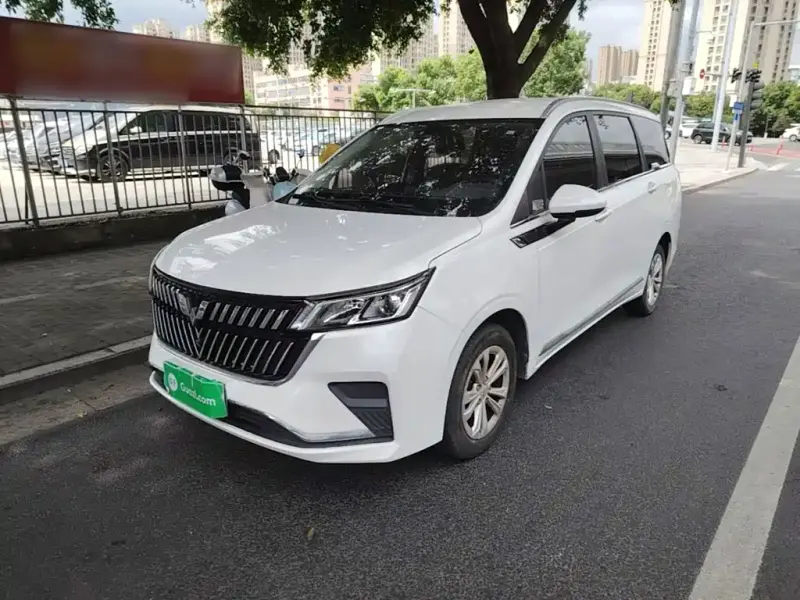 Wuling Jiachen, 2024