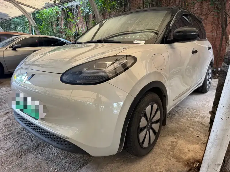Wuling Bingo, 2024