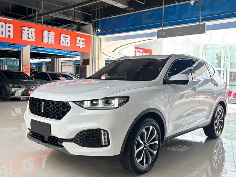 Wey VV6, 2019