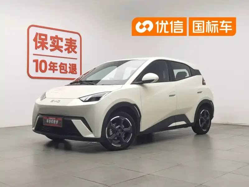 BYD Seagull, 2023