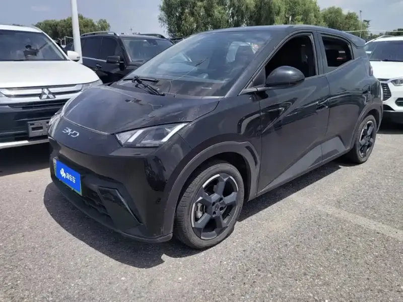 BYD Seagull, 2023