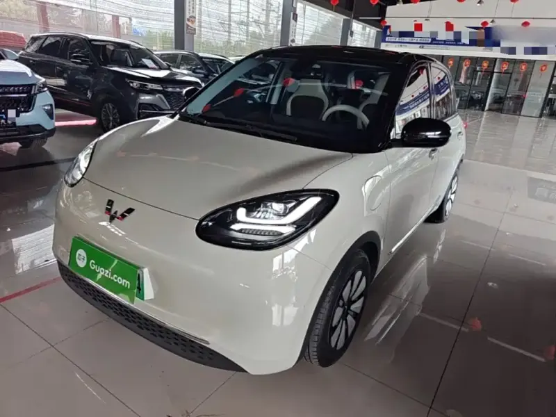 Wuling Bingo, 2023