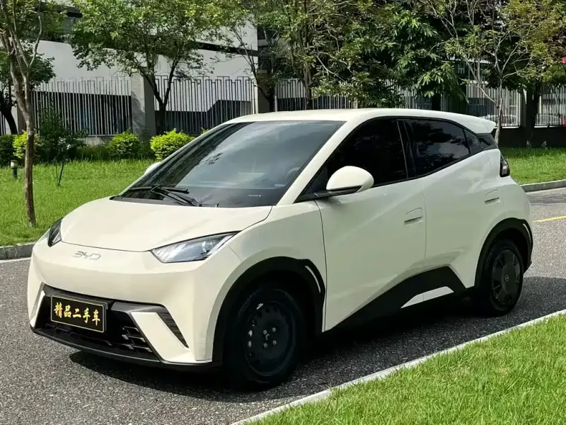 BYD Seagull, 2024