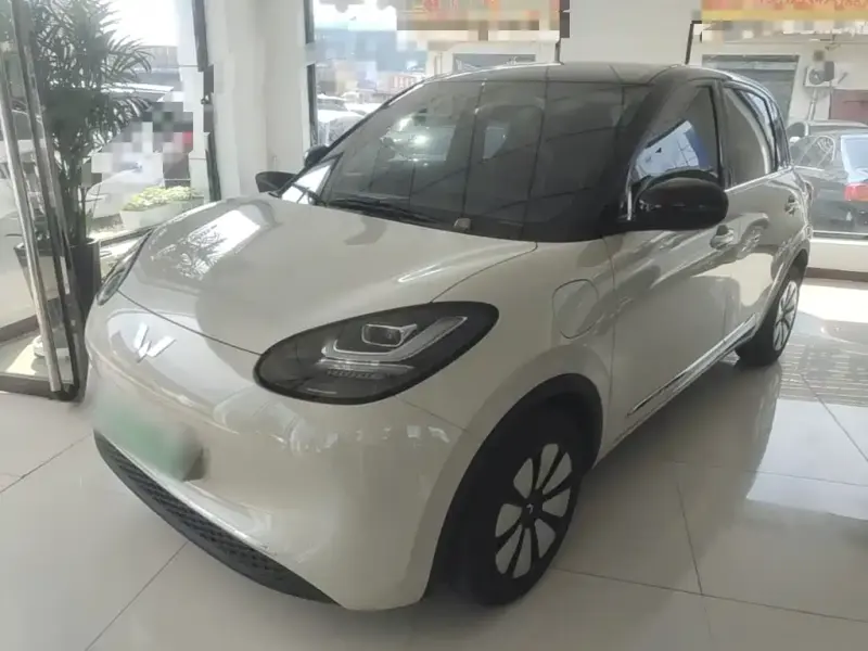 Wuling Bingo, 2024