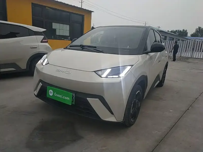 BYD Seagull, 2023