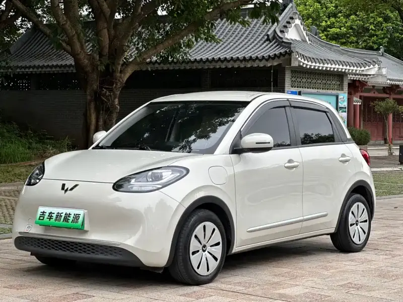Wuling Bingo, 2023