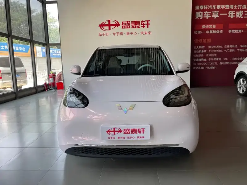 Wuling Bingo, 2024