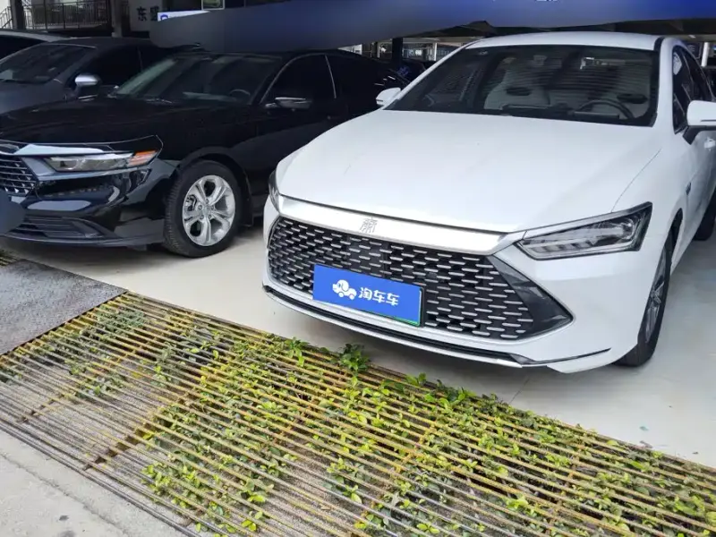 BYD Qin PLUS, 2024