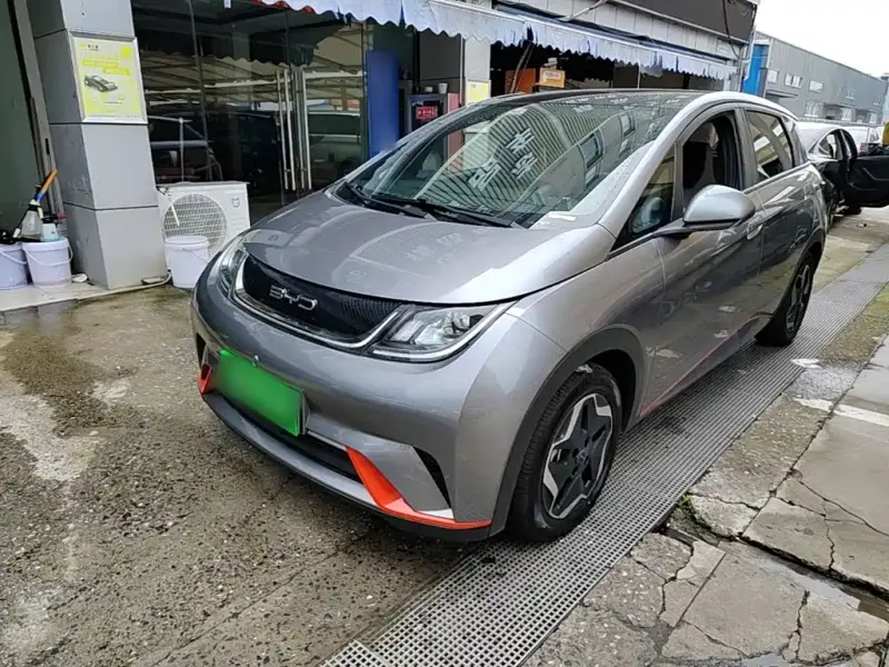 BYD Dolphin, 2022