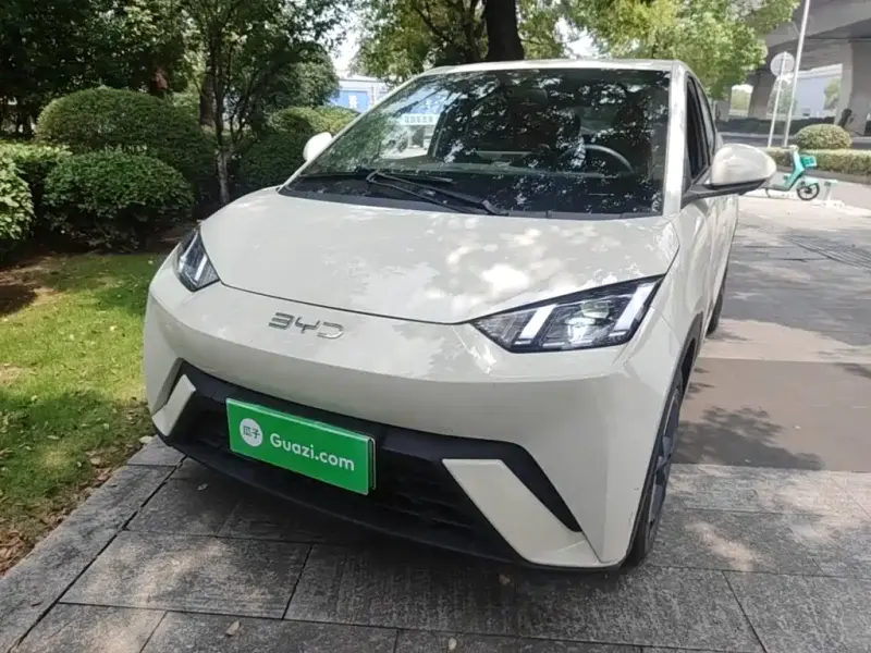BYD Seagull, 2024