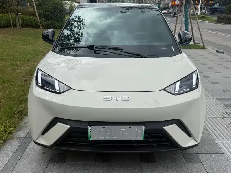 BYD Seagull, 2025