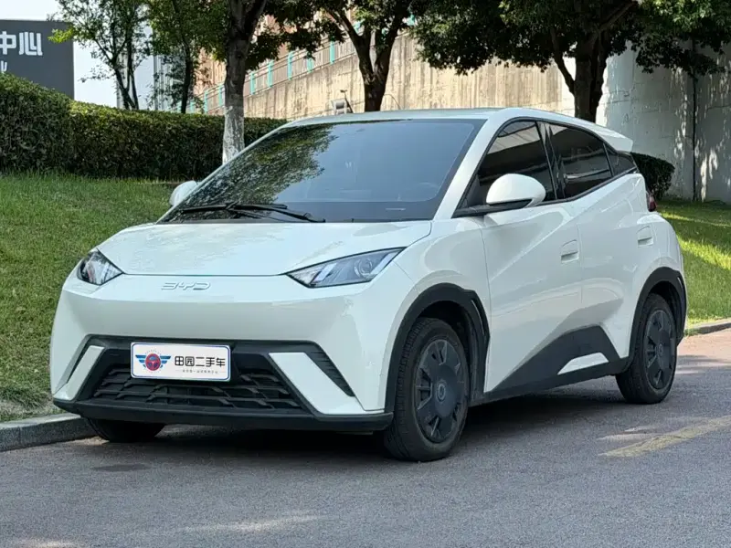 BYD Seagull, 2024
