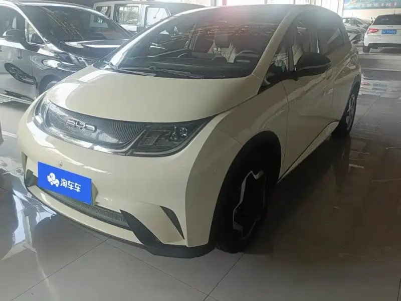 BYD Dolphin, 2022