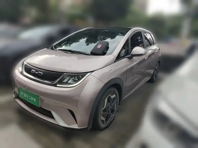 BYD Dolphin, 2022