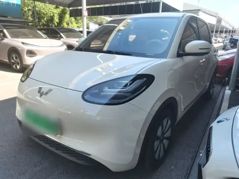 Wuling Bingo, 2025