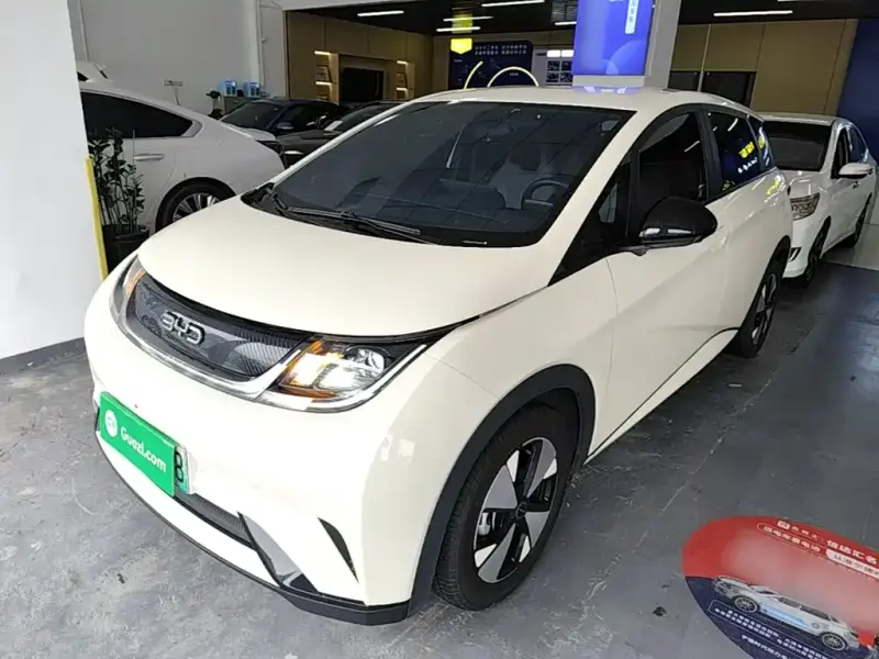 BYD Dolphin, 2023