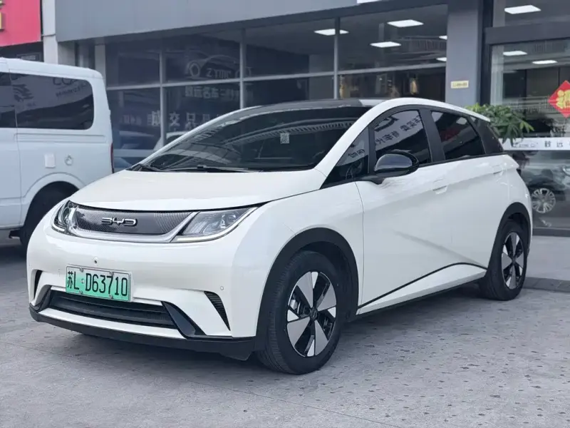 BYD Dolphin, 2023