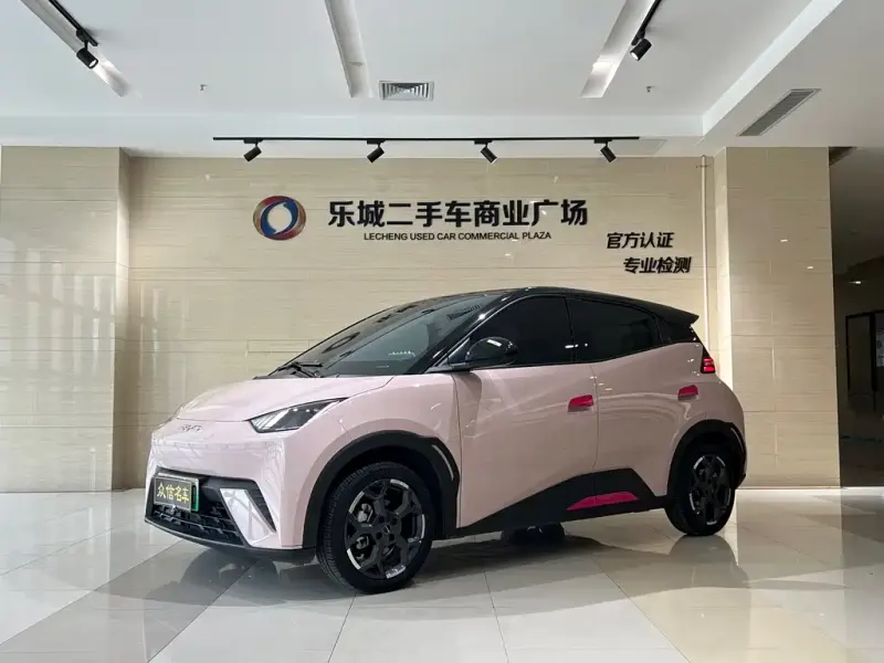 BYD Seagull, 2025