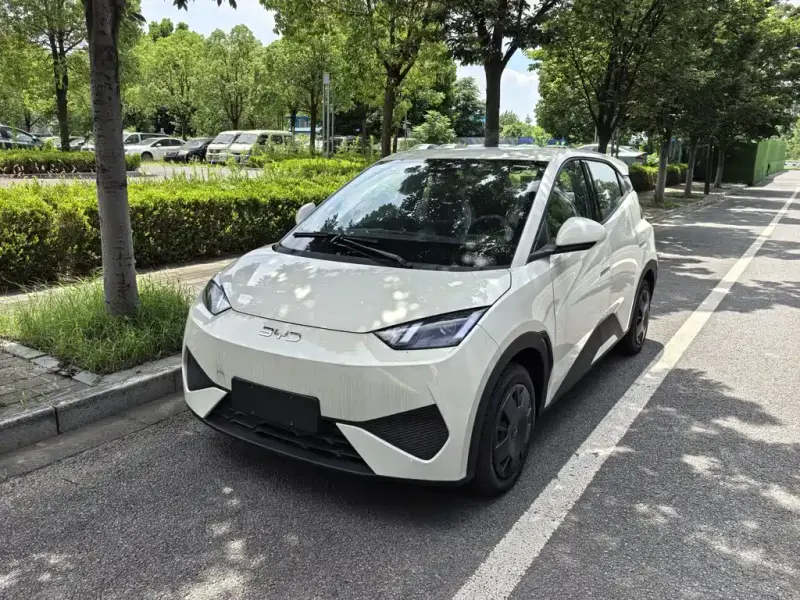 BYD Seagull, 2026