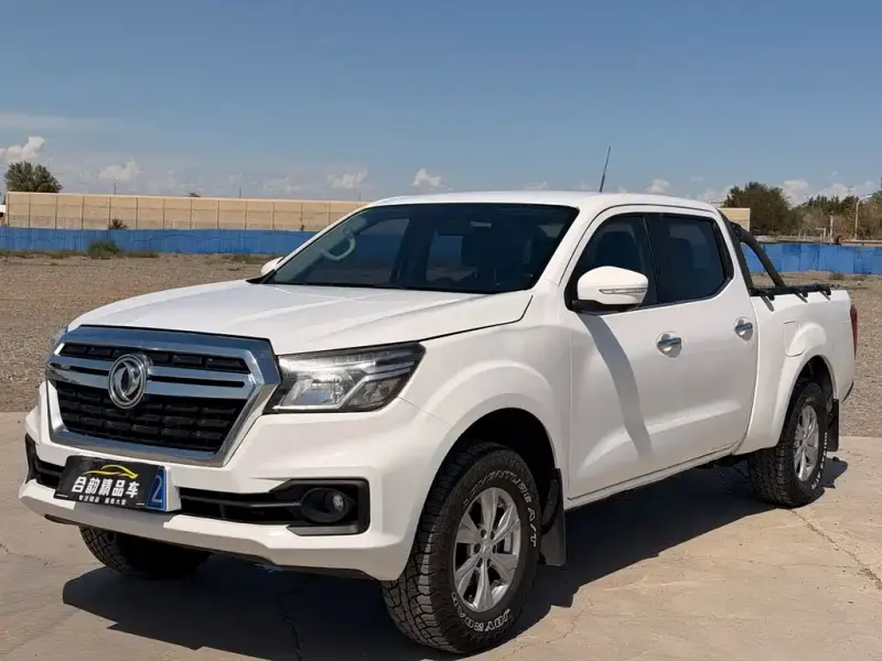 Dongfeng Rich 6, 2022