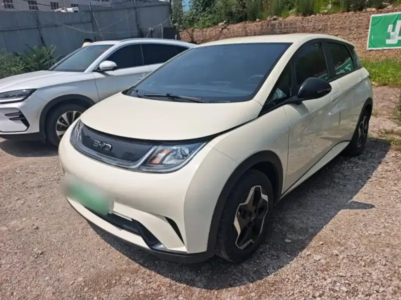 BYD Dolphin, 2024