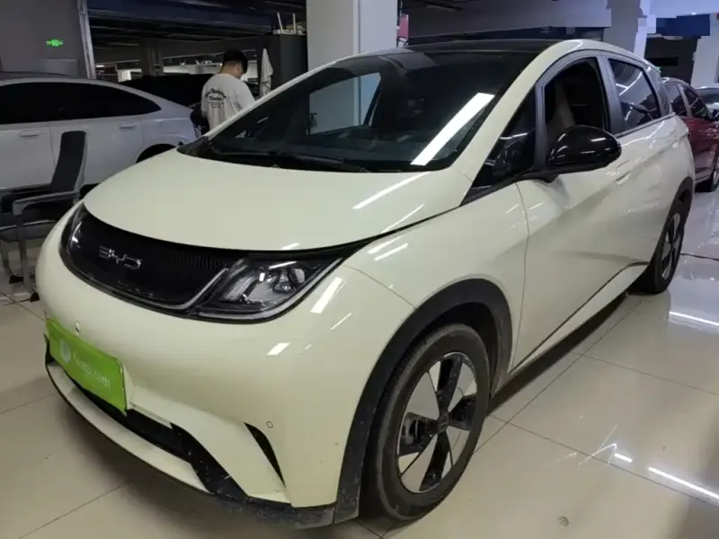 BYD Dolphin, 2024