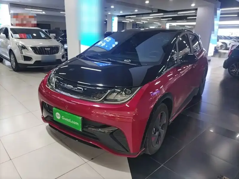 BYD Dolphin, 2024