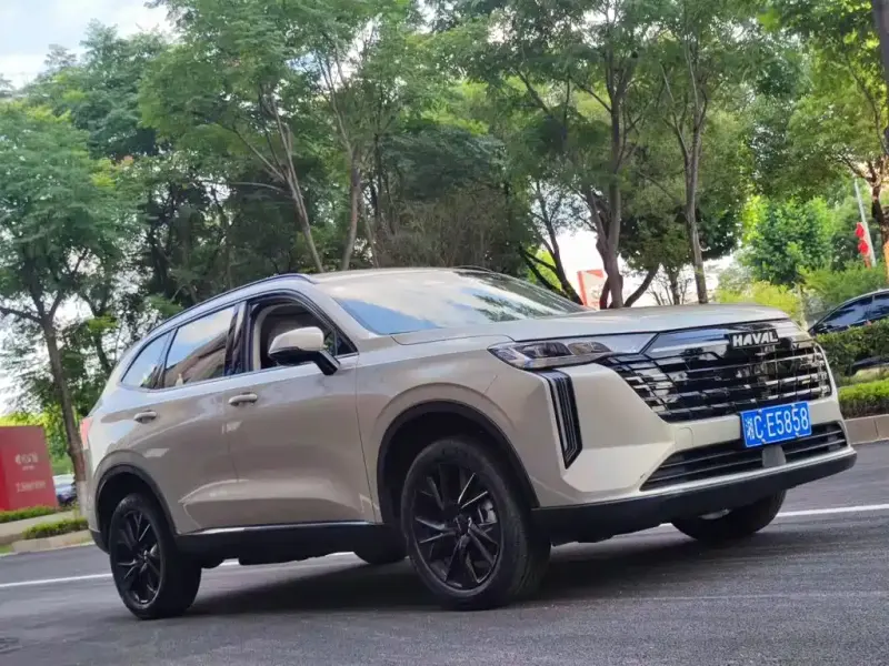 Haval H6, 2024