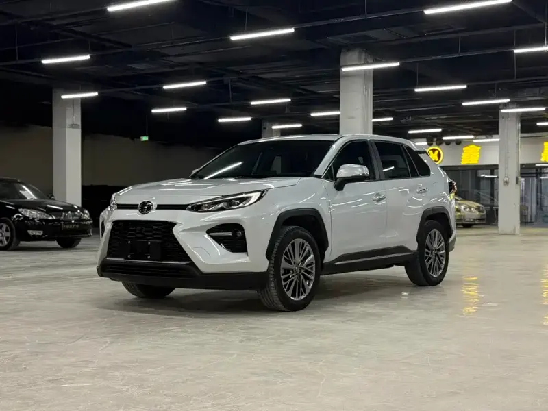 Toyota Wildlander, 2020
