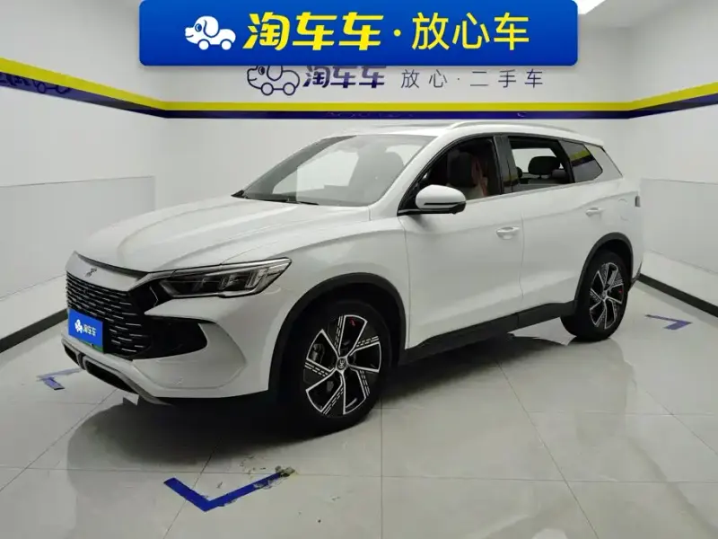 BYD Pro New Energy, 2023 — фото 1