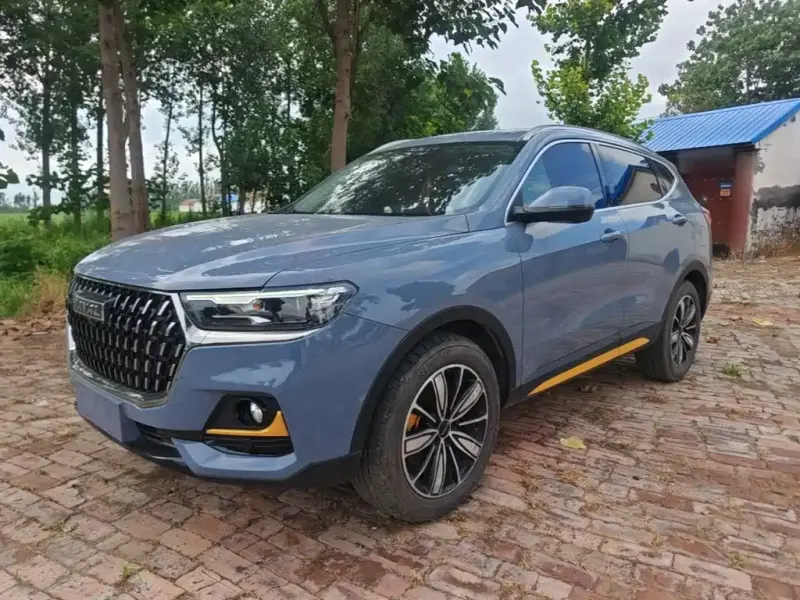 Haval H6, 2024