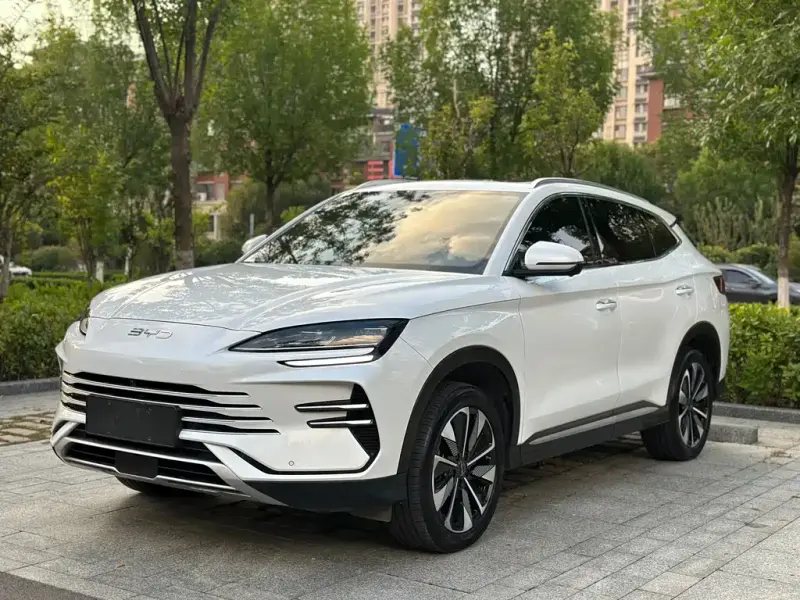BYD PLUS New Energy, 2024 — фото 1