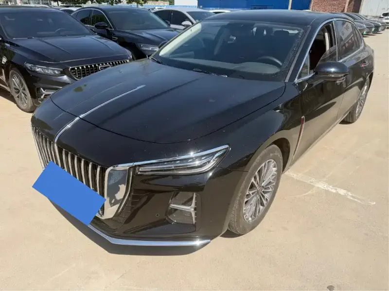 Hongqi H5, 2024