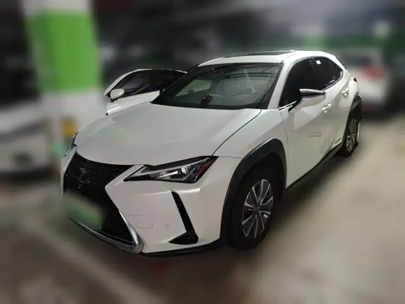 Lexus UX New Energy, 2021