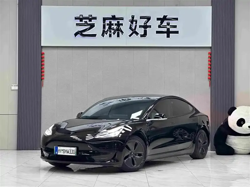 Tesla Model 3, 2020