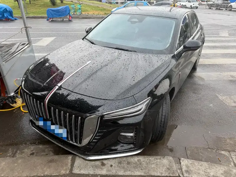 Hongqi H5, 2024