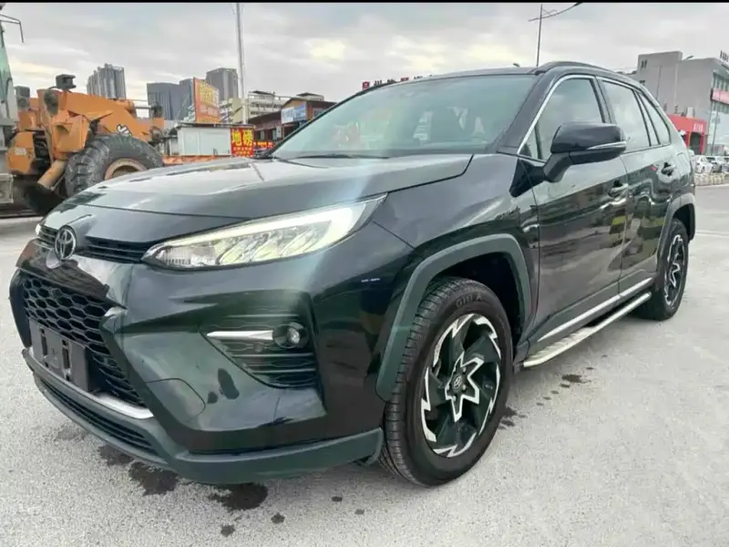 Toyota Wildlander, 2020