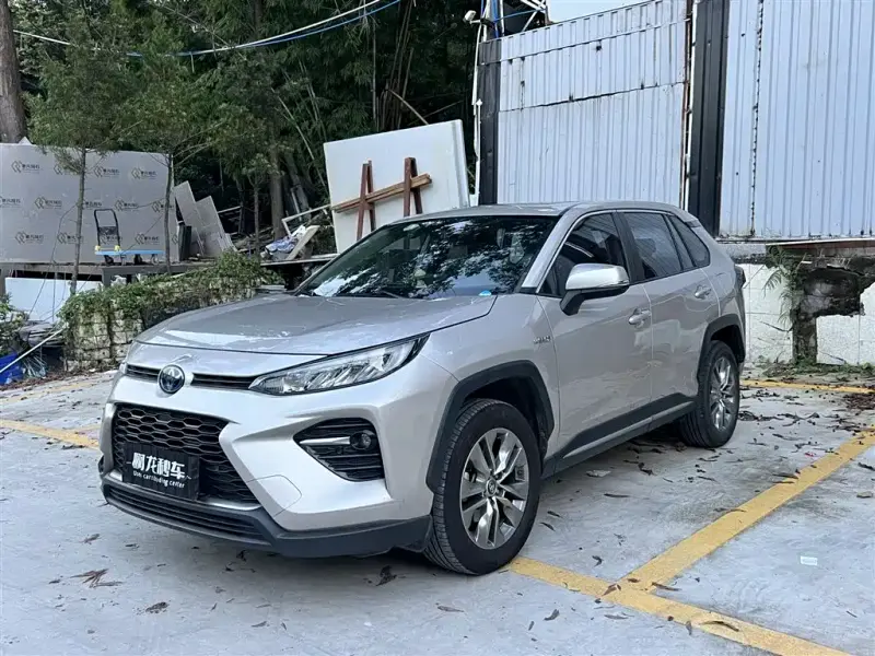 Toyota Wildlander, 2021
