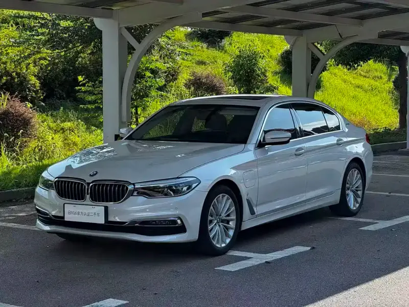 BMW 5 Series New Energy, 2019