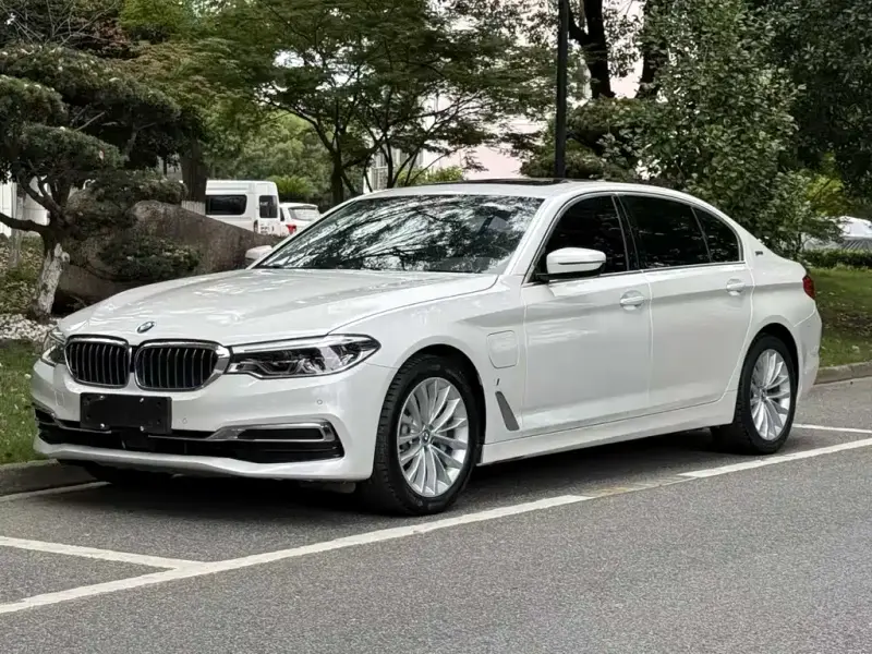 BMW 5 Series New Energy, 2019