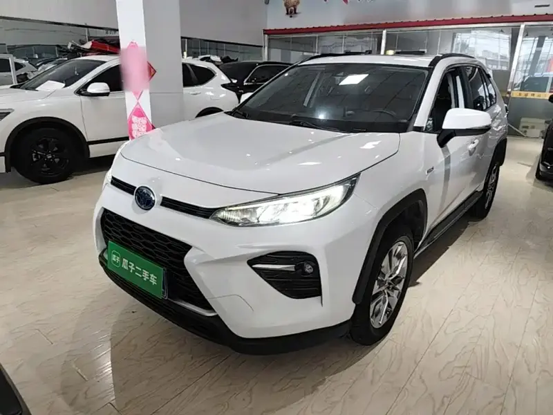 Toyota Wildlander, 2021