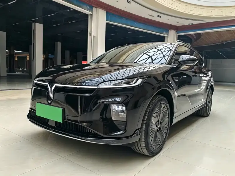 VOYAH Zhiyin, 2025