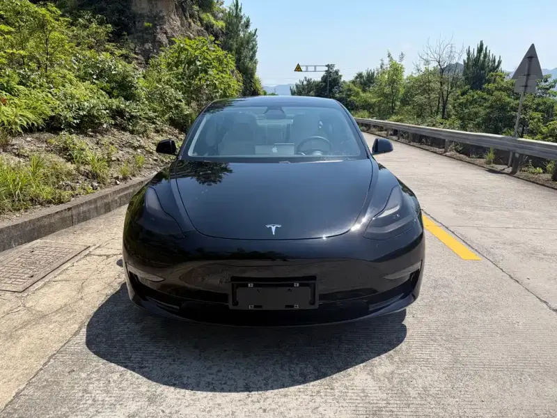 Tesla Model 3, 2020