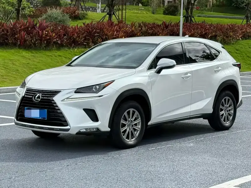 Lexus NX, 2019