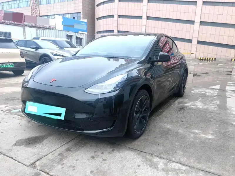 Tesla Model Y, 2021